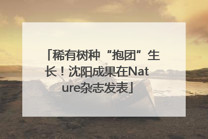 稀有树种“抱团”生长！沈阳成果在Nature杂志发表