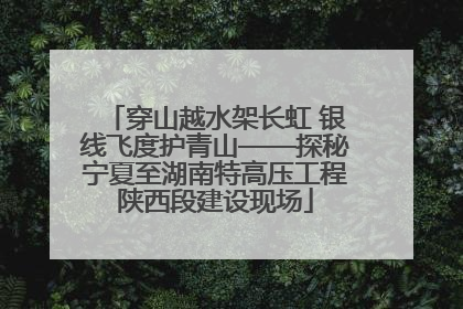穿山越水架长虹 银线飞度护青山——探秘宁夏至湖南特高压工程陕西段建设现场