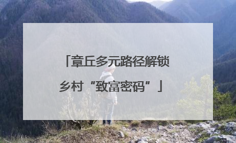 章丘多元路径解锁乡村“致富密码”