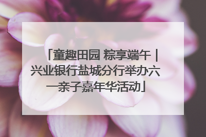 童趣田园 粽享端午｜兴业银行盐城分行举办六一亲子嘉年华活动