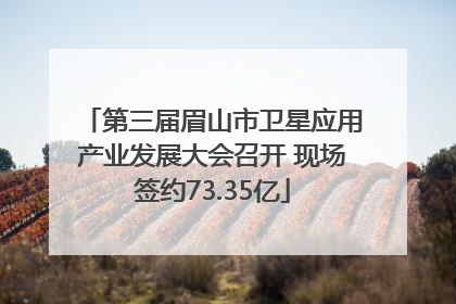 第三届眉山市卫星应用产业发展大会召开 现场签约73.35亿