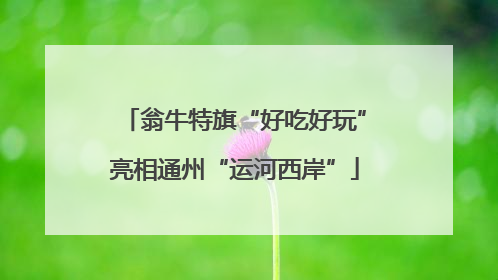 翁牛特旗“好吃好玩”亮相通州“运河西岸”