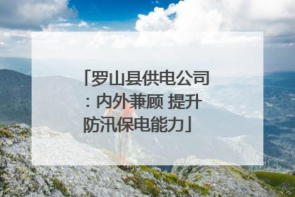 罗山县供电公司：内外兼顾 提升防汛保电能力