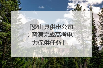 罗山县供电公司：圆满完成高考电力保供任务