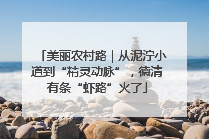 美丽农村路｜从泥泞小道到“精灵动脉”，德清有条“虾路”火了