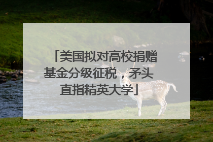 美国拟对高校捐赠基金分级征税，矛头直指精英大学