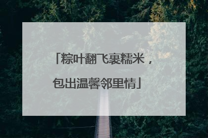 粽叶翻飞裹糯米，包出温馨邻里情