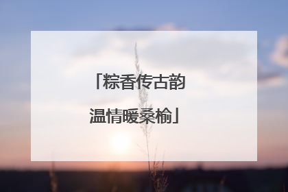 粽香传古韵 温情暖桑榆