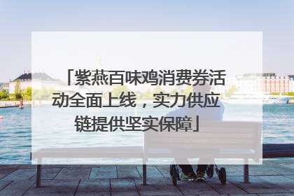 紫燕百味鸡消费券活动全面上线，实力供应链提供坚实保障