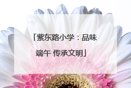 紫东路小学：品味端午 传承文明