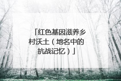 红色基因滋养乡村沃土（地名中的抗战记忆）