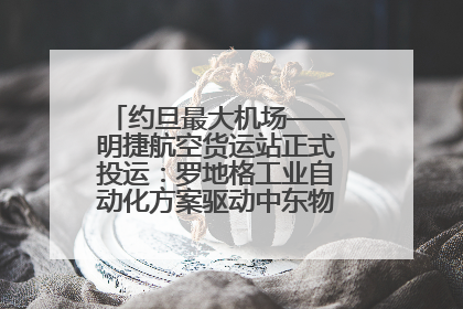 约旦最大机场——明捷航空货运站正式投运：罗地格工业自动化方案驱动中东物流未来新航向