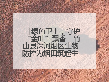绿色卫士，守护“金叶”飘香—竹山县深河烟区生物防控为烟田筑起生态屏障