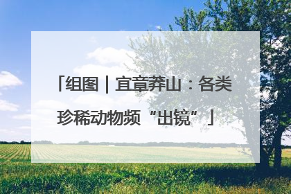 组图｜宜章莽山：各类珍稀动物频“出镜”