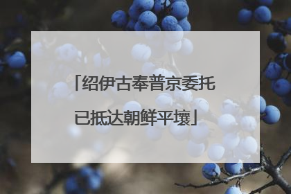 绍伊古奉普京委托已抵达朝鲜平壤