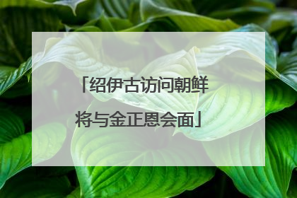 绍伊古访问朝鲜 将与金正恩会面