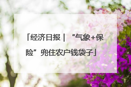 经济日报｜“气象+保险”兜住农户钱袋子