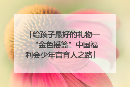 给孩子最好的礼物——“金色摇篮”中国福利会少年宫育人之路