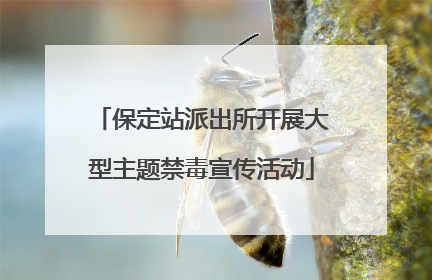 保定站派出所开展大型主题禁毒宣传活动