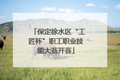 保定徐水区“工匠杯”职工职业技能大赛开赛
