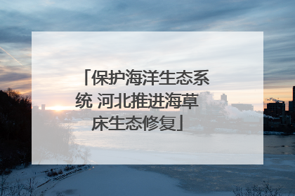 保护海洋生态系统 河北推进海草床生态修复