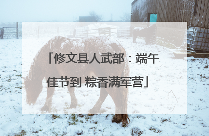 修文县人武部：端午佳节到 粽香满军营
