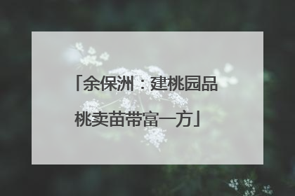 余保洲：建桃园品桃卖苗带富一方