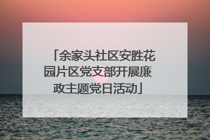 余家头社区安胜花园片区党支部开展廉政主题党日活动