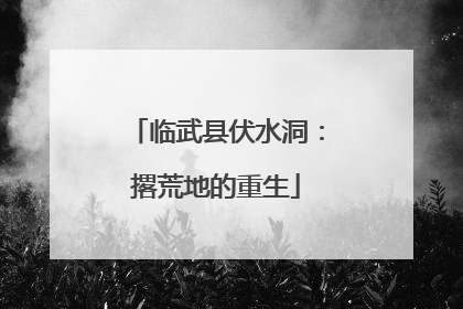 临武县伏水洞：撂荒地的重生