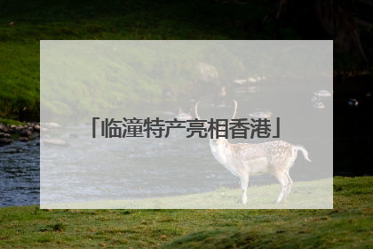 临潼特产亮相香港