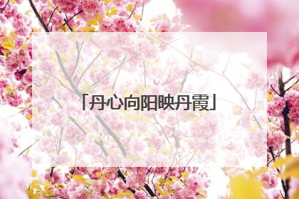 丹心向阳映丹霞
