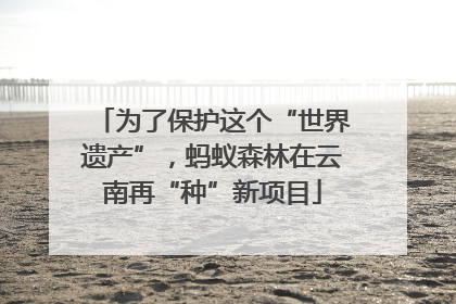 为了保护这个“世界遗产”，蚂蚁森林在云南再“种”新项目