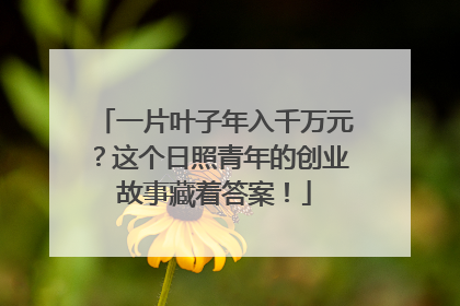 一片叶子年入千万元？这个日照青年的创业故事藏着答案！