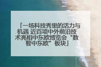 一场科技秀里的活力与机遇 近百项中外前沿技术亮相中东欧博览会“数智中东欧”板块