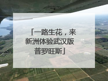 一路生花，来新洲体验武汉版普罗旺斯