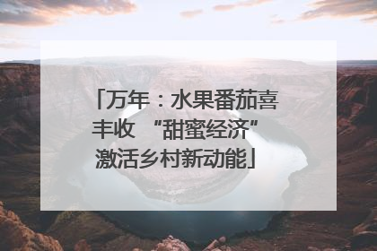 万年：水果番茄喜丰收 “甜蜜经济”激活乡村新动能