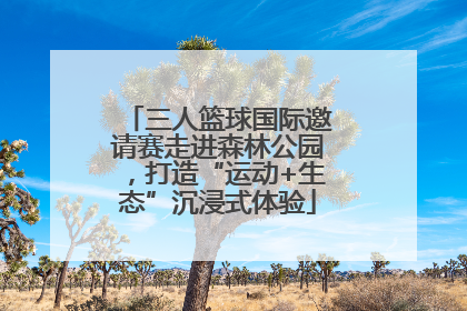 三人篮球国际邀请赛走进森林公园，打造“运动+生态”沉浸式体验