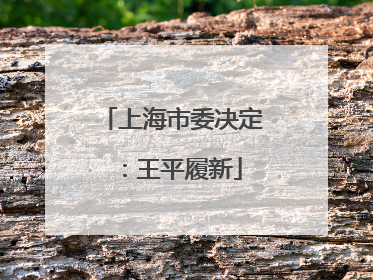 上海市委决定：王平履新