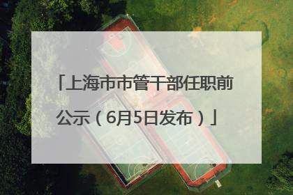 上海市市管干部任职前公示（6月5日发布）