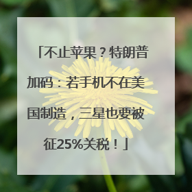 不止苹果？特朗普加码：若手机不在美国制造，三星也要被征25%关税！
