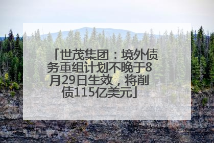 世茂集团：境外债务重组计划不晚于8月29日生效，将削债115亿美元