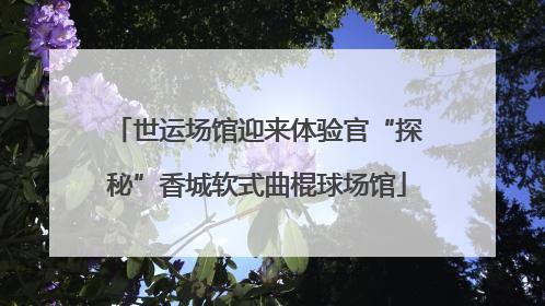 世运场馆迎来体验官“探秘”香城软式曲棍球场馆