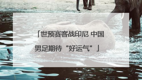 世预赛客战印尼 中国男足期待“好运气”