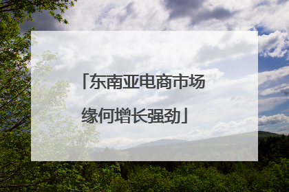 东南亚电商市场缘何增长强劲