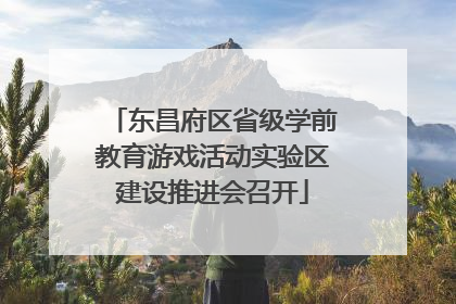 东昌府区省级学前教育游戏活动实验区建设推进会召开