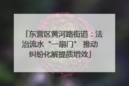 东营区黄河路街道：法治流水“一扇门” 推动纠纷化解提质增效