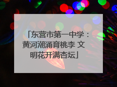 东营市第一中学：黄河潮涌育桃李 文明花开满杏坛
