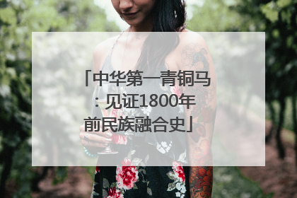 中华第一青铜马：见证1800年前民族融合史