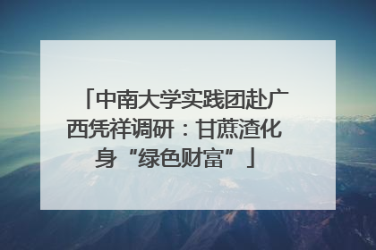 中南大学实践团赴广西凭祥调研：甘蔗渣化身“绿色财富”