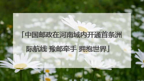 中国邮政在河南域内开通首条洲际航线 豫邮牵手 拥抱世界